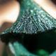 Bella Voste Sand Holo Nail Paints Forest Green - 411 10 ml - Hair Masks & Packs