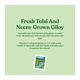 Kapiva Wild Tulsi Giloy Juice 1 ltr - Mouth Refreshners