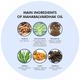 Pravek Maha Balvardhak Oil 100 ml - Pet Healthcare