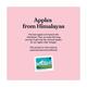Kapiva Apple Cider Vinegar + Garcinia 500 ml - Bandages And Dressings