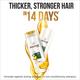 Pantene Pro-V Advanced Hair Fall Solution+ Conditioner - Silky Smooth Care 80 ml - Razors & Cartridges