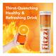 Fitzzi Amla Extract Vitamin-C & Zinc Effervescent Tablet 20's - Pakeeza Unani
