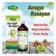 Swadeshi Ayurved Aarogya Rasayan Herbal Juice 500 ml - Wound/Burns
