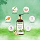 Medimade Tea Tree Oil And Ginger Oil Body Wash 300 ml - Plain/Flavoured Condoms