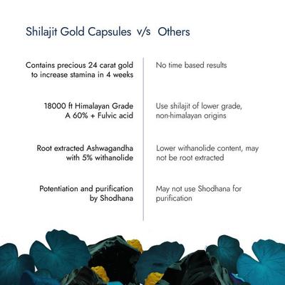 Kapiva Him Foods Shilajit Gold Capsule 60's - Sexual Healthcare