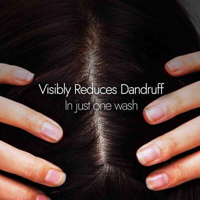 Kapiva Hair Rituals Dandruff Control Neem Triphaladi Shampoo 250 ml - Personal Care (Ayush)