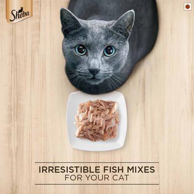 Sheba Feast of Flakes for Cats - Fish with Sasami (Pack of 35 gm x 12) 1's - Petfood