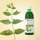 Krishna's Herbal & Ayurveda Harshringar Leaf Swaras Juice 500 ml - Ayurvedic Juices
