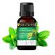 Soulflower Peppermint Essential Oil 15 ml - Essential Oils
