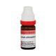 Adel Ferrum Phos. 6 Liquid 10 ml - Dilutions