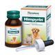 Himalaya Vet Himpyrin Liquid 30 ml - Pet Healthcare