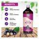 Swadeshi Ayurved Jamun Vinegar Juice 500 ml - Ayurvedic Juices