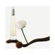 Issey Miyake L Eau d Issey EDT 50 ml - Women Perfumes (Edt/Edp)