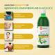 Krishna's Herbal & Ayurveda Harshringar Leaf Swaras Juice 500 ml - Ayurvedic Juices