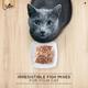 Sheba Feast of Flakes for Cats - Fish with Sasami (Pack of 35 gm x 12) 1's - Petfood